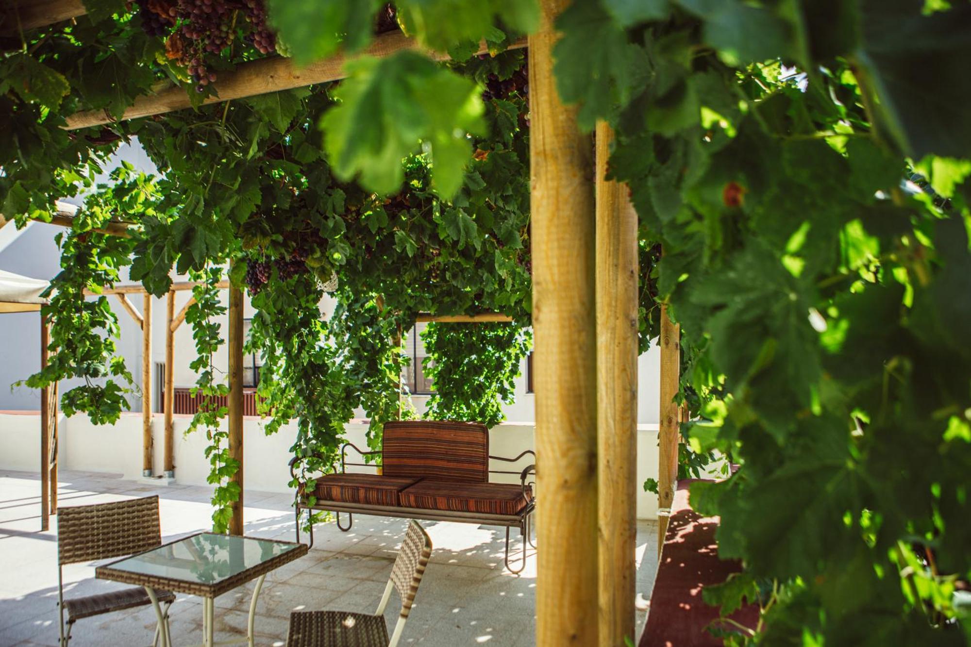 Casa Duconte Bed and Breakfast Μπαρλέτα Εξωτερικό φωτογραφία
